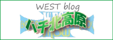 WEST blog　ハチ北高原
