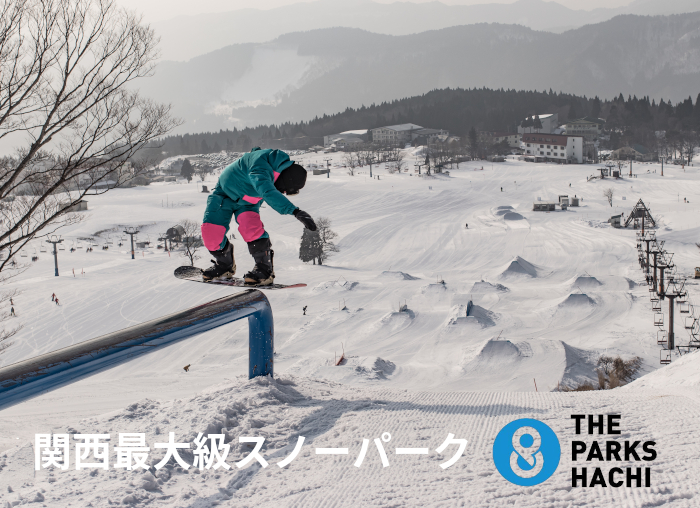 ハチ 北 高原 スキー 場